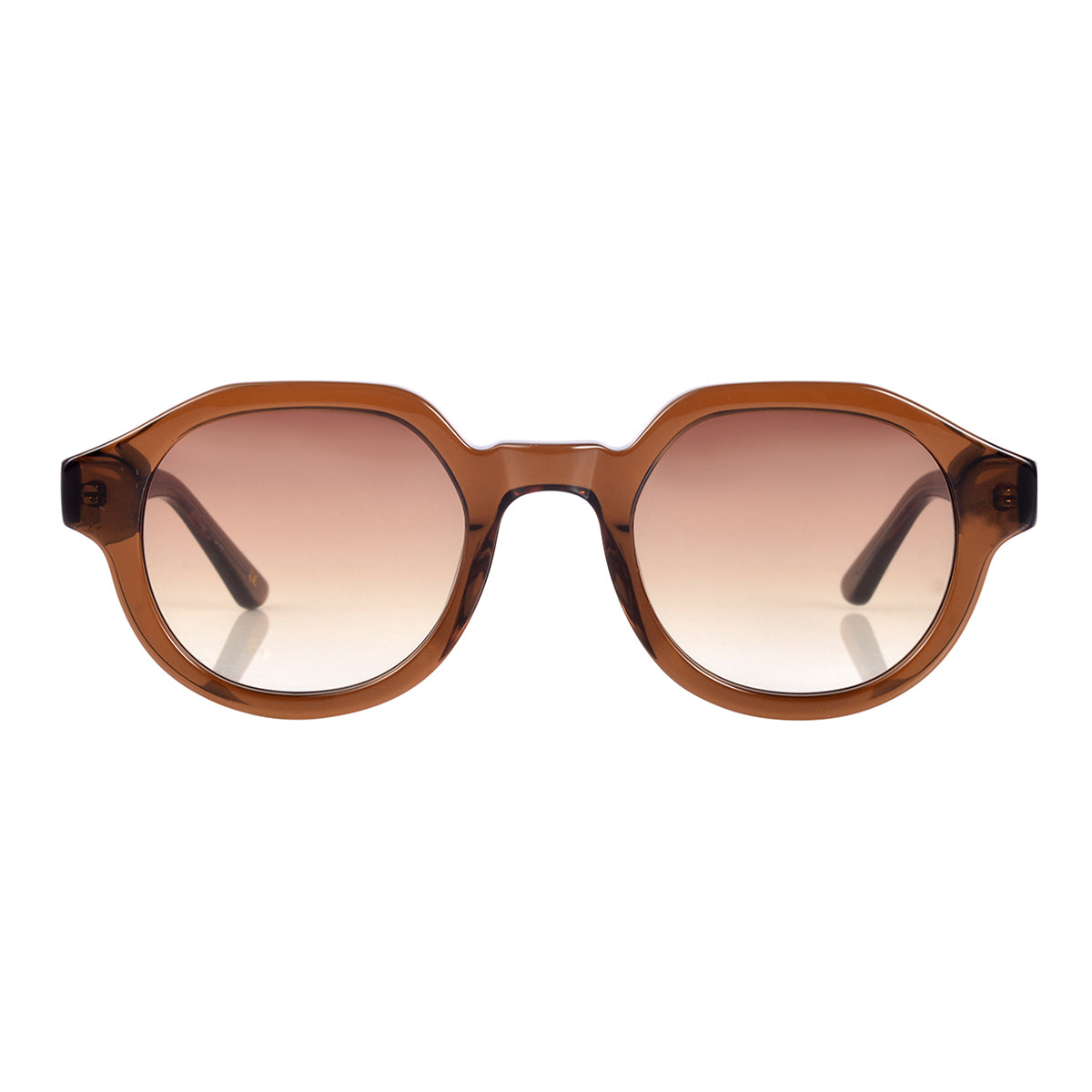 Palermo - Brown Transparent/Brown  Lenses